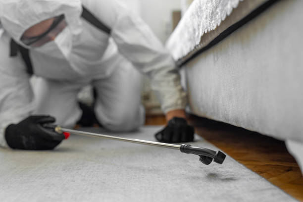 Professional Bed Bug Control technician working in Glyndon, MN