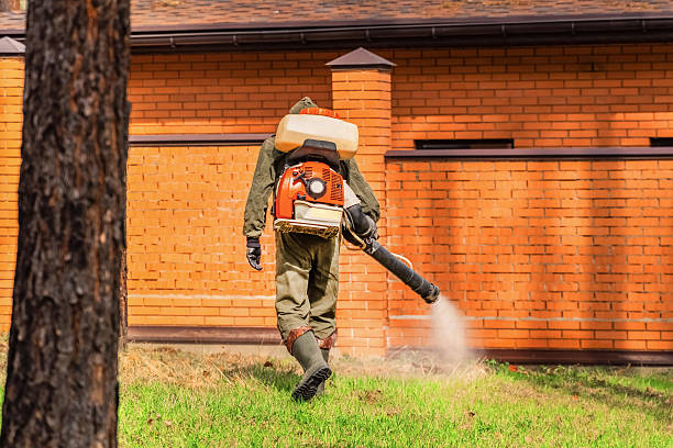 Trusted Emergency Pest Control service in Glyndon, MN - Nex Pest Control